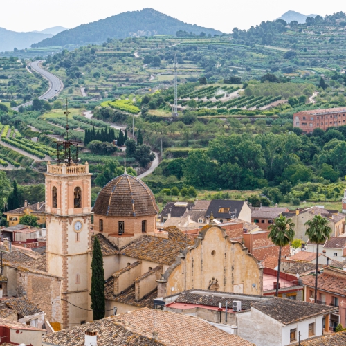 shutterstock 1990294709