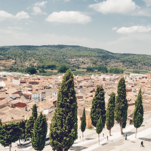 shutterstock 2047205171