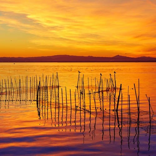 shutterstock 389189758