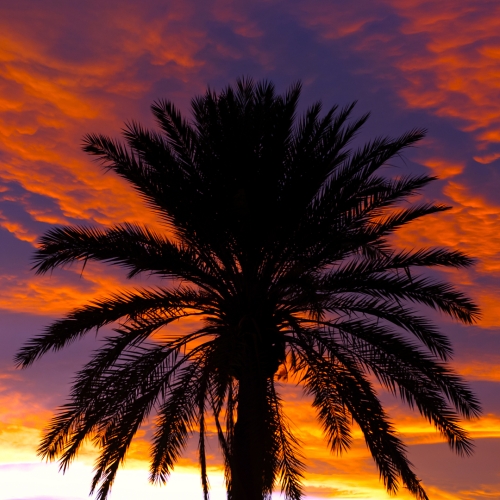 shutterstock 91085117