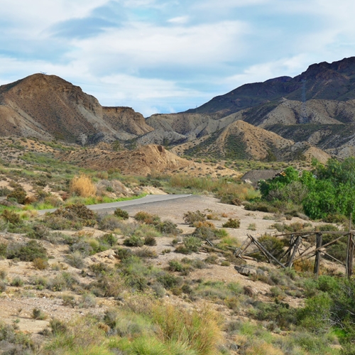 shutterstock 1327724306