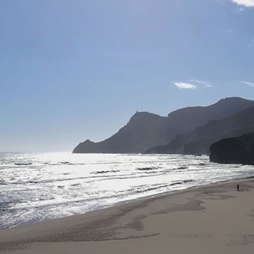 shutterstock 1712926867