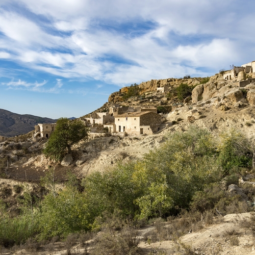 shutterstock 493624564