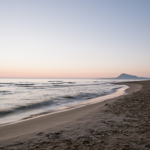 shutterstock 609348947 - Oliva