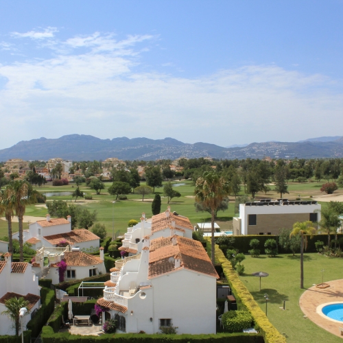 oliva