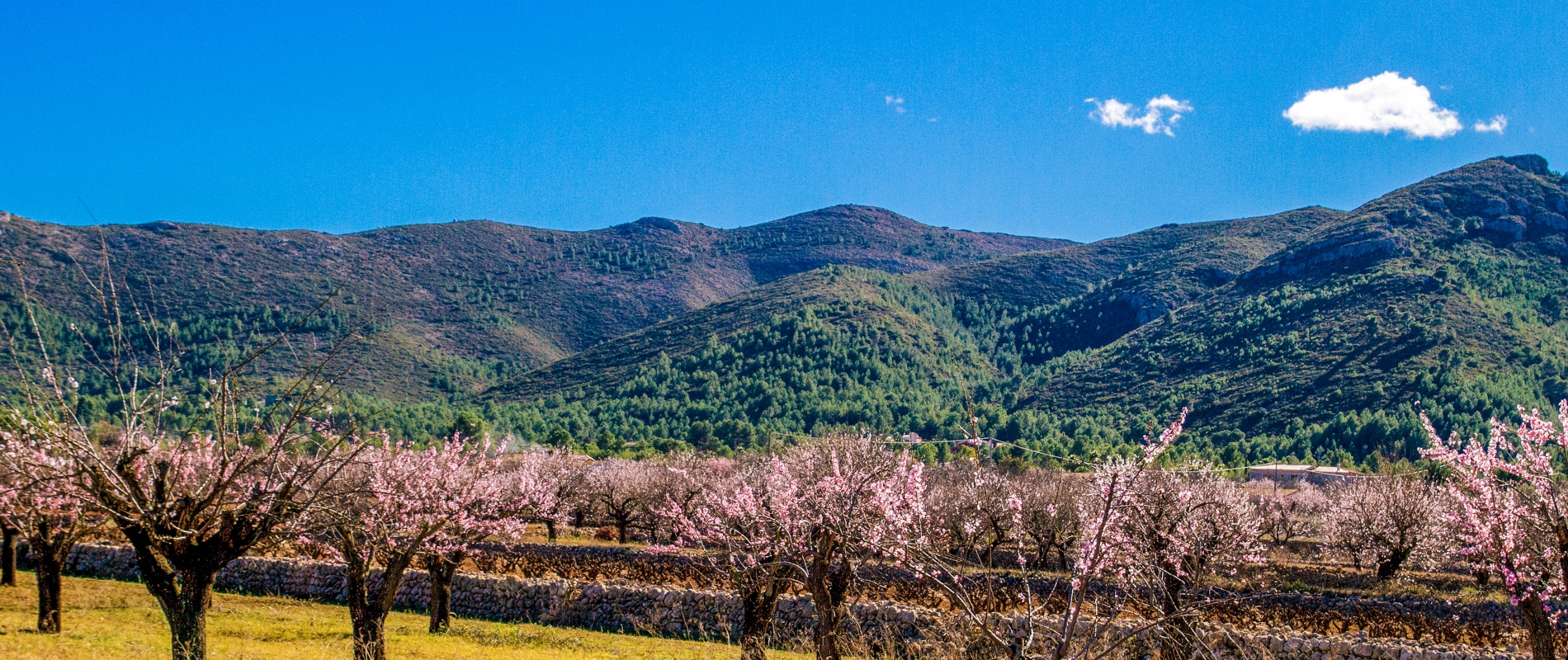 shutterstock 1017956782 - Jalon Valley