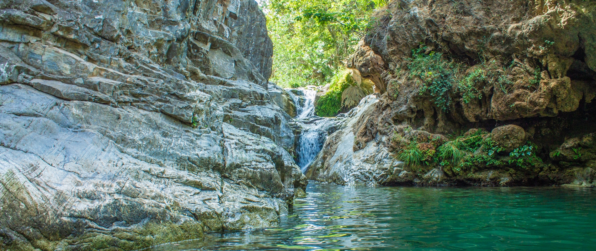 shutterstock 1197780436 - Coin