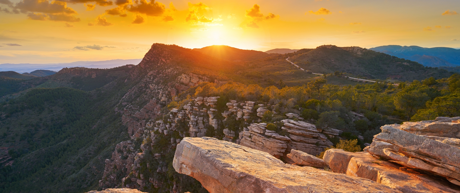 shutterstock 1269235513 - El Garbi