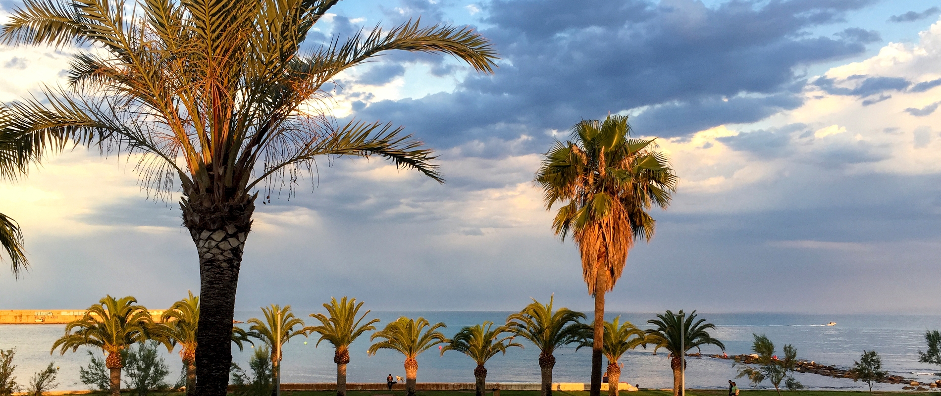 shutterstock 1463532494 - Benicarló