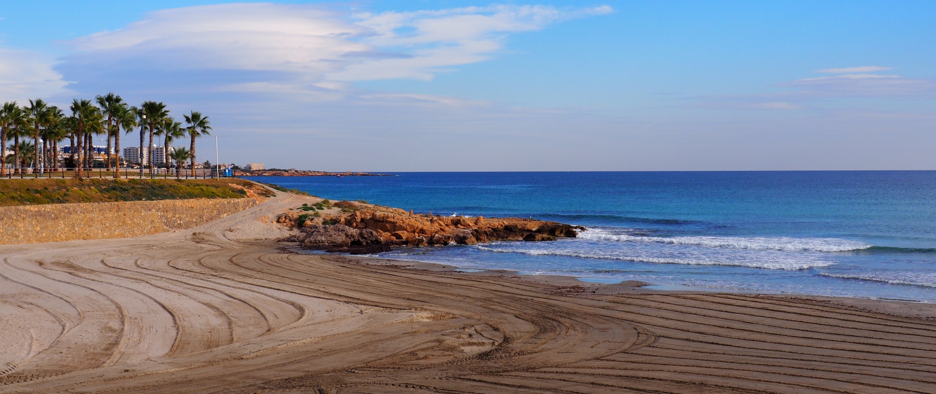 shutterstock 1609518985 - Playa Flamenca