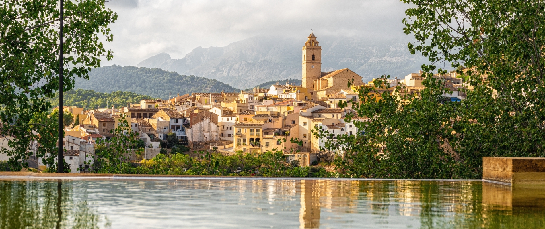  shutterstock 2036537459 - Polop