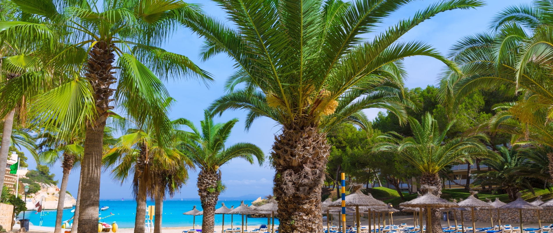 shutterstock 266028947 - Cala Vinyes