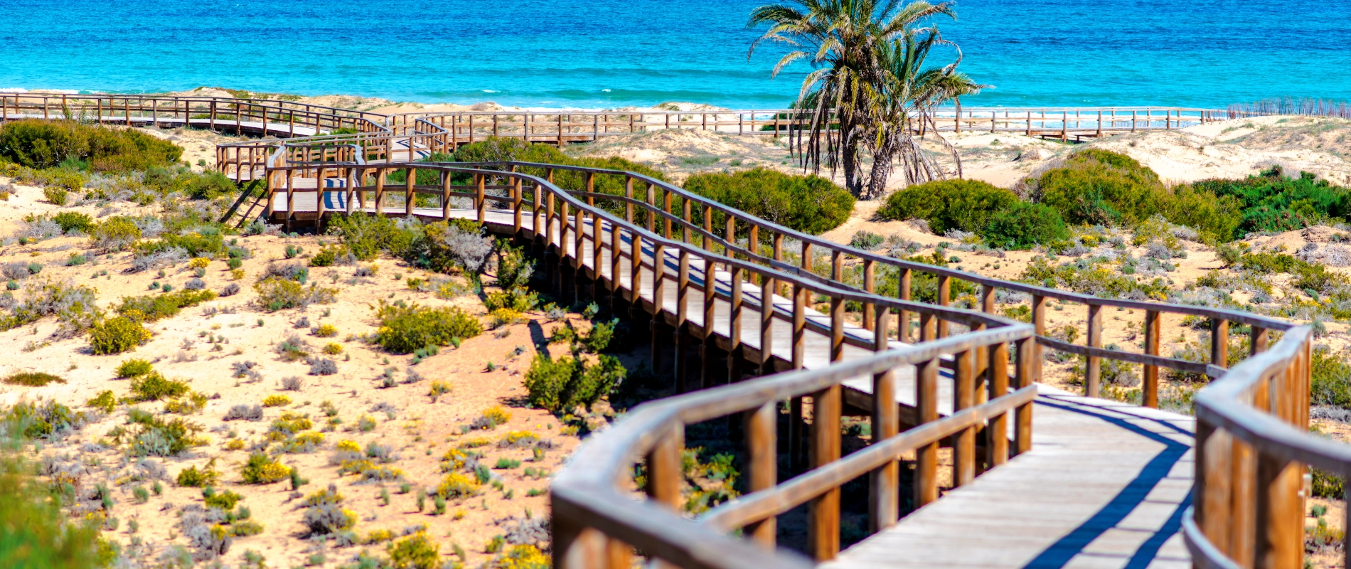 shutterstock 385481548 - Los Arenales del Sol 