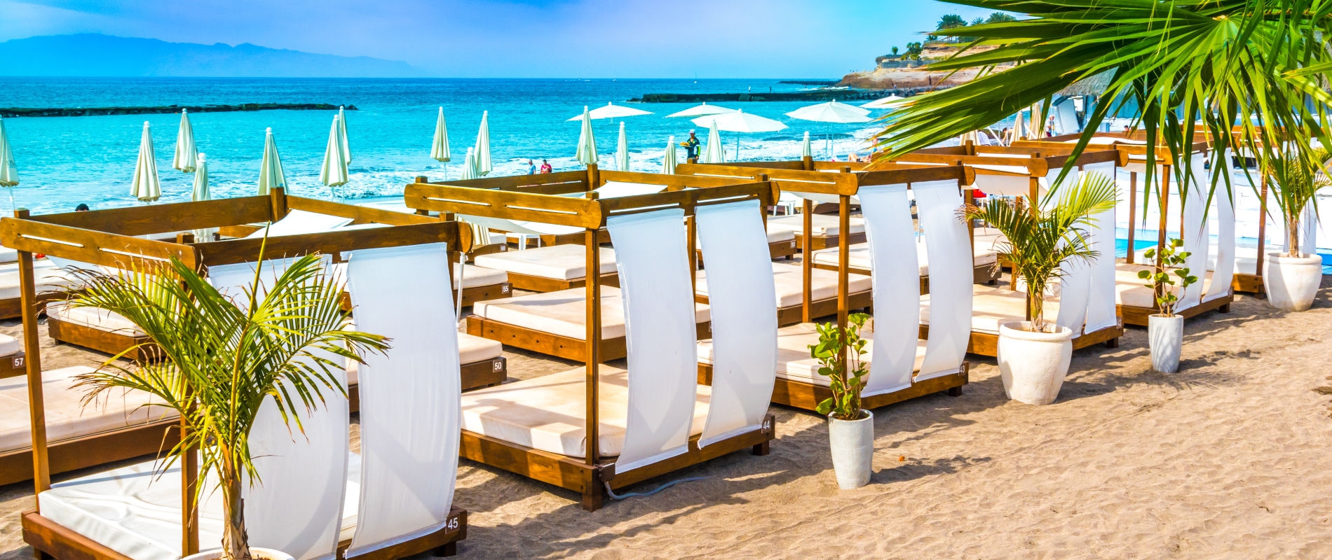 shutterstock 548646499 - Costa Adeje, Tenerife