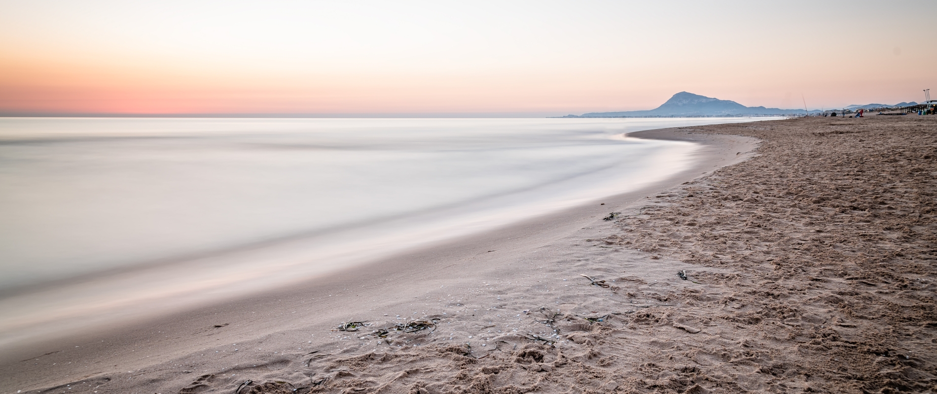 shutterstock 609349043 - Oliva