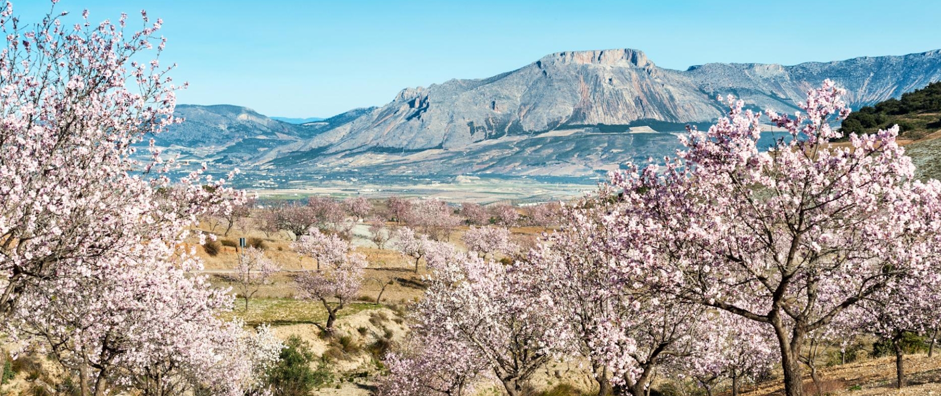 shutterstock 127231826 - Velez Blanco, Almeria