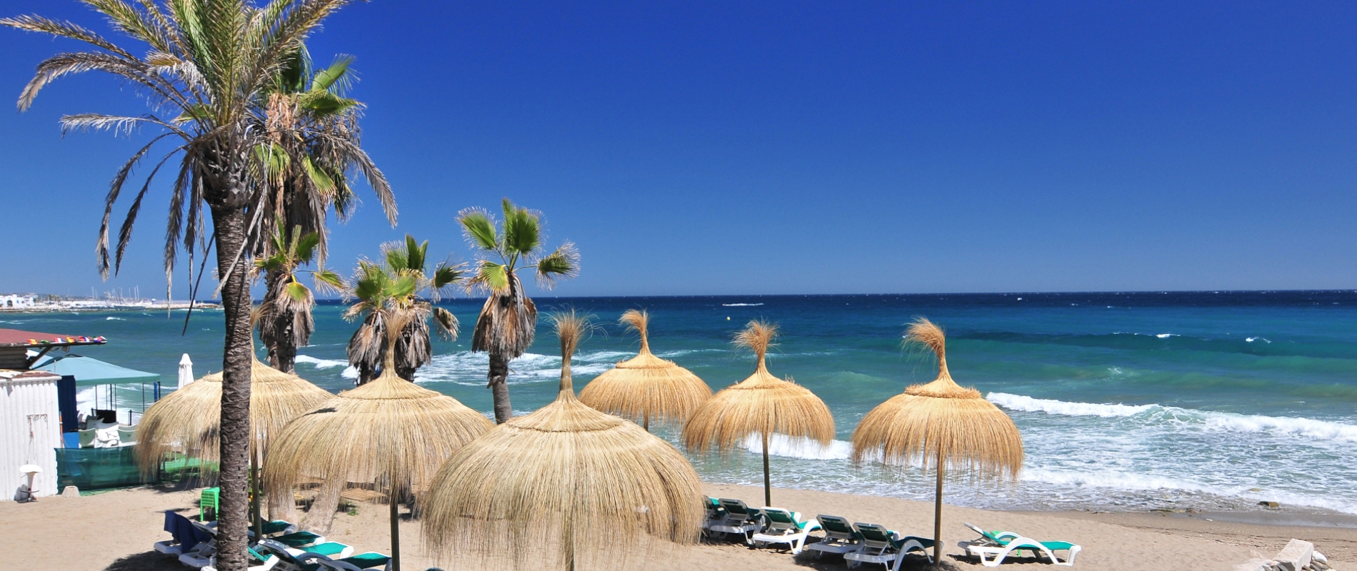 shutterstock 1085056865